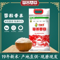 庆安大米 东北珍珠大米10斤黑龙江大米新米圆粒香米5kg