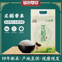 庆安大米 黑龙江大米庆安龙稻香 5kg新米长粒粳米 东北大米10斤