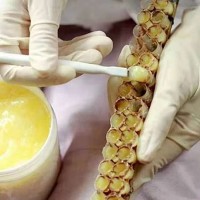 新品上市：补品正宗黑龙江产蜂王浆500g