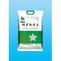 俄罗斯大豆