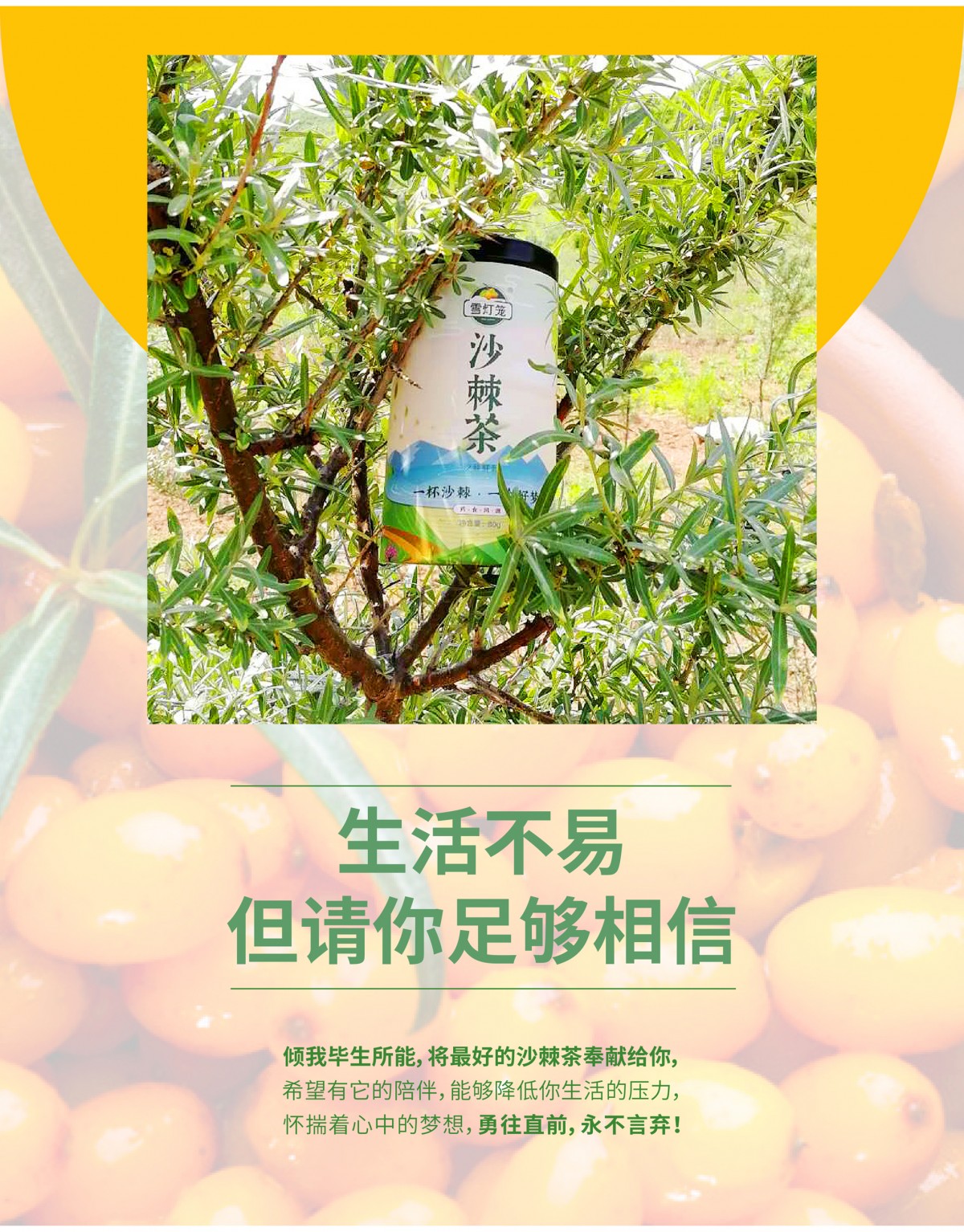 沙棘茶-详情页-01_07