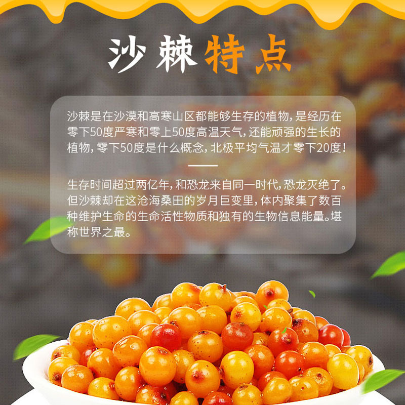 详情页-沙棘-切割-01_03