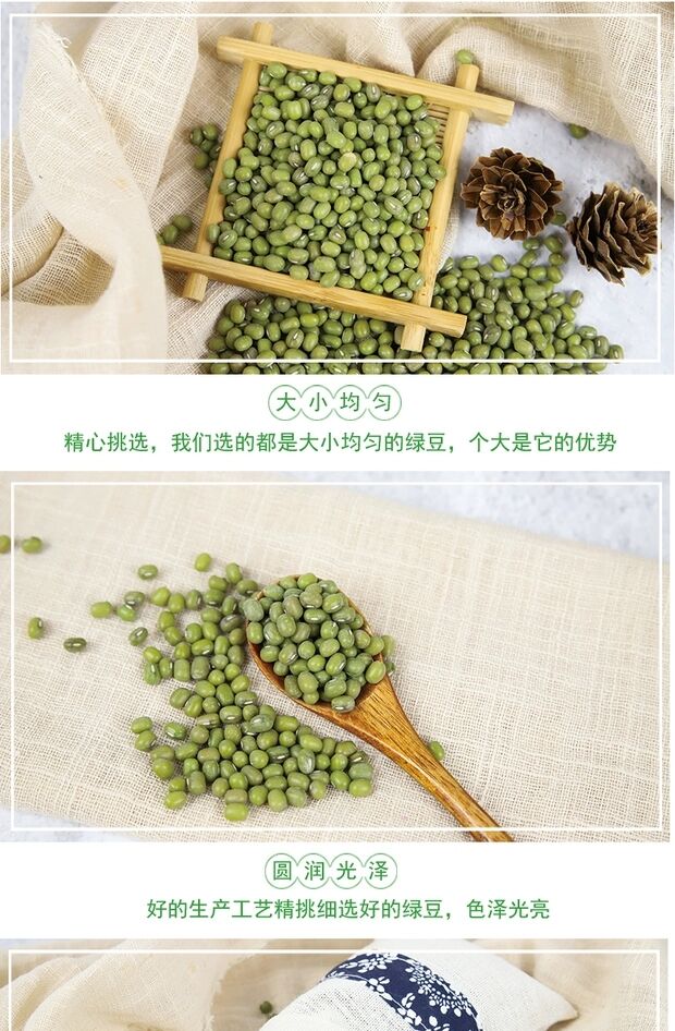 绿豆4