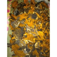 东北大兴安岭桦树泪桦褐孔菌桦树茸一斤包邮
