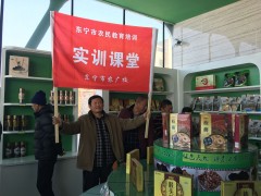 活动展示
