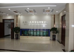 公司全景