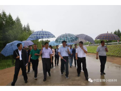 调研参观