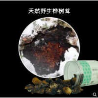 大兴安岭野生桦树茸120g正品白桦茸桦褐孔菌桦树泪非俄罗斯进口