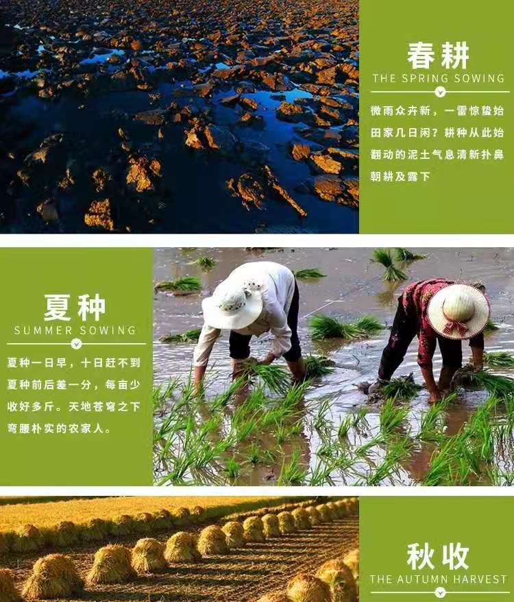 微信图片_202102040911023
