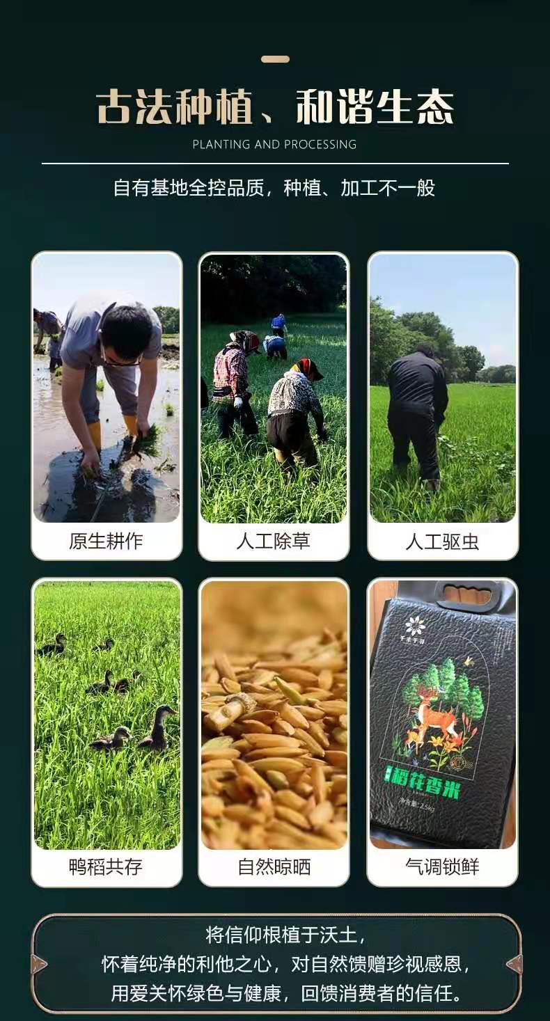 微信图片_202102051031571