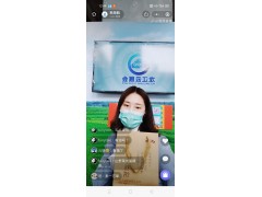 甘南武大姐食品东盟博览会现场直播带货