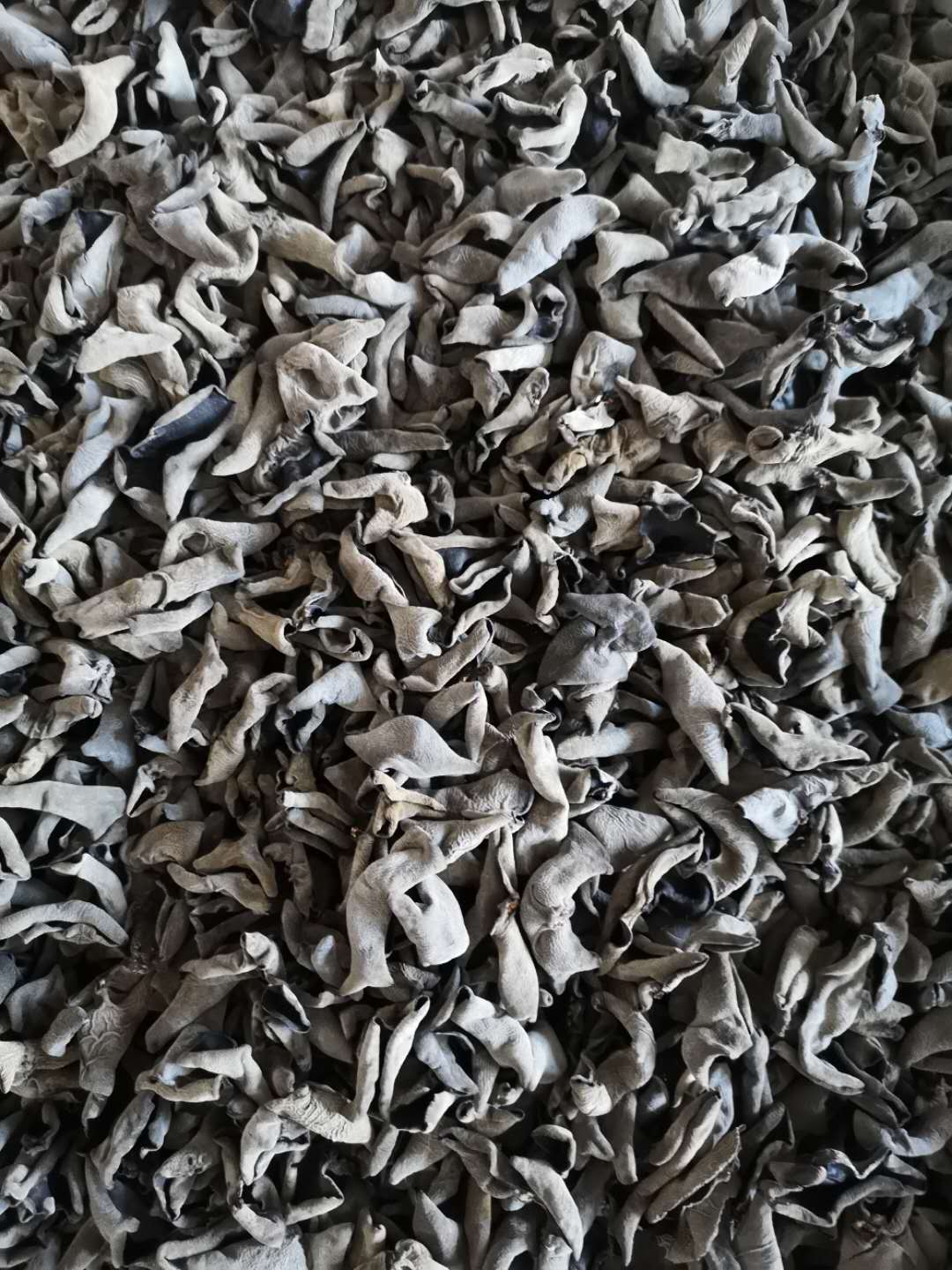 黑山秋耳（没过筛子）