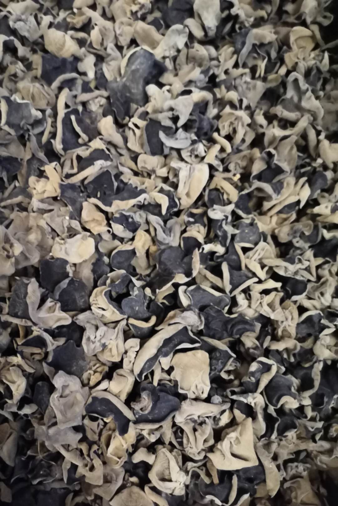 秋耳