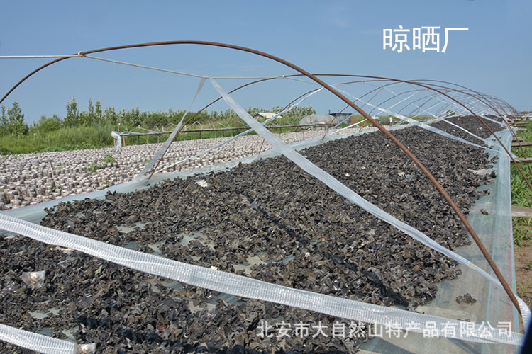 3514692236_1539008577