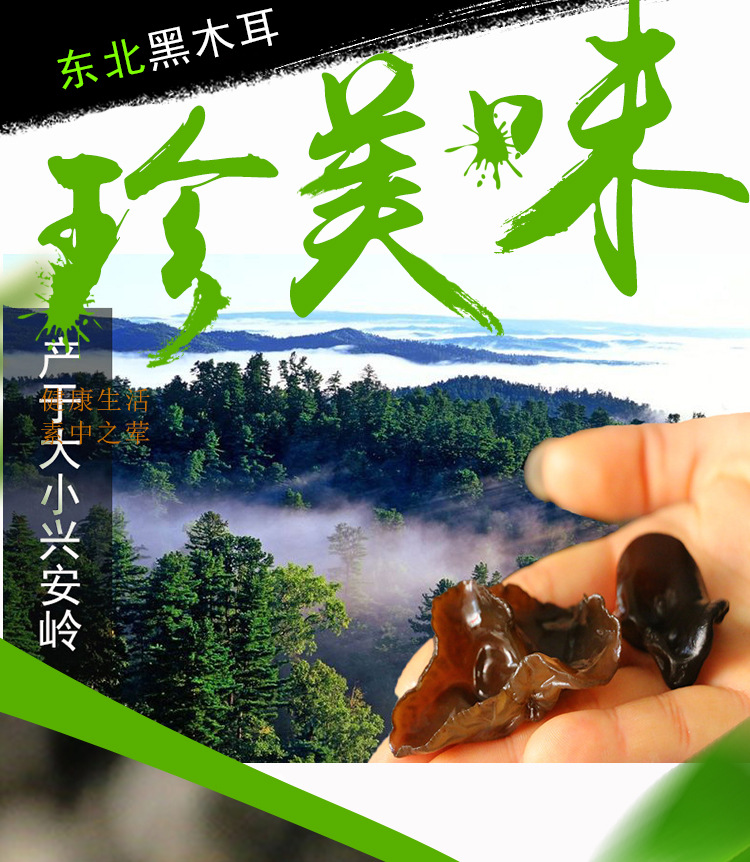 9048105793_1539008577