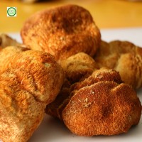 东北特产精选大猴头菇250g