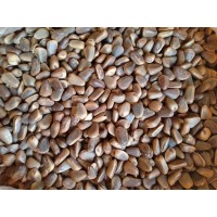 东北特产坚果干果野生松子原味500g