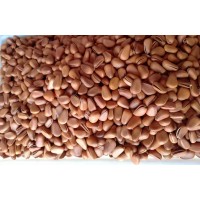 东北特产坚果干果野生松子油炒500g