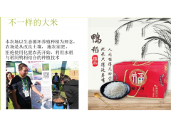 不一样的大米
