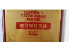 荣誉证书