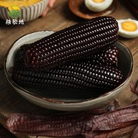 秧歌地真空鲜食黑玉米