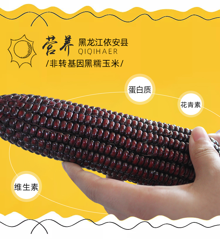 黑玉米_04