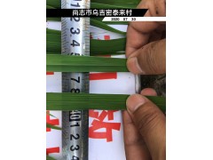 秸秆腐熟剂对水稻叶片生长的促进