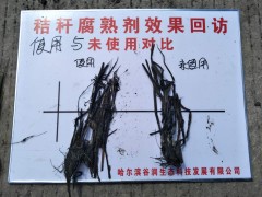 秸秆腐熟剂效果展示