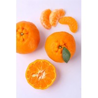 【友邻馆助农产品】云南晚芦柑5斤（内蒙、新疆、西藏、港澳台不发货）
