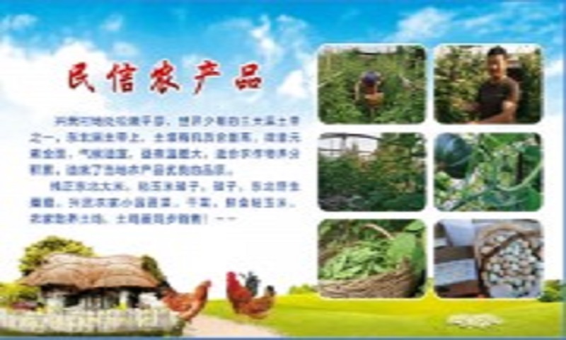 甘南县民信农产品销售部