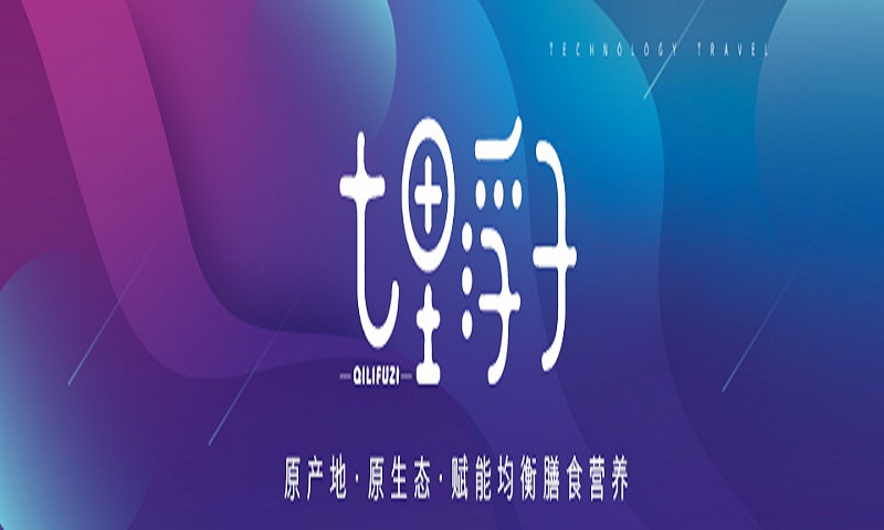 七里浮子