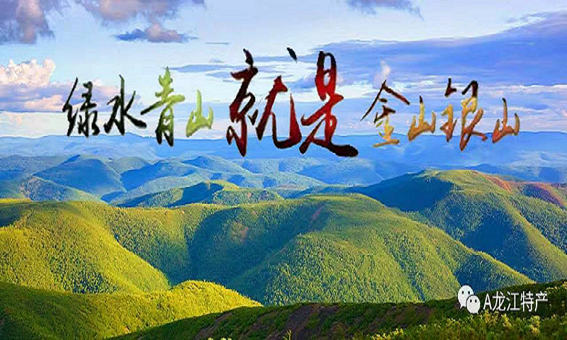 大兴安岭兴民山产品有限公司