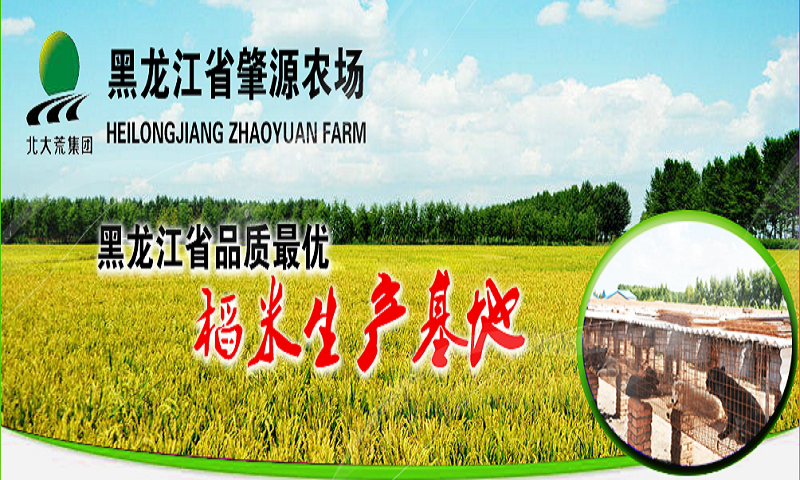 黑龙江肇源农场