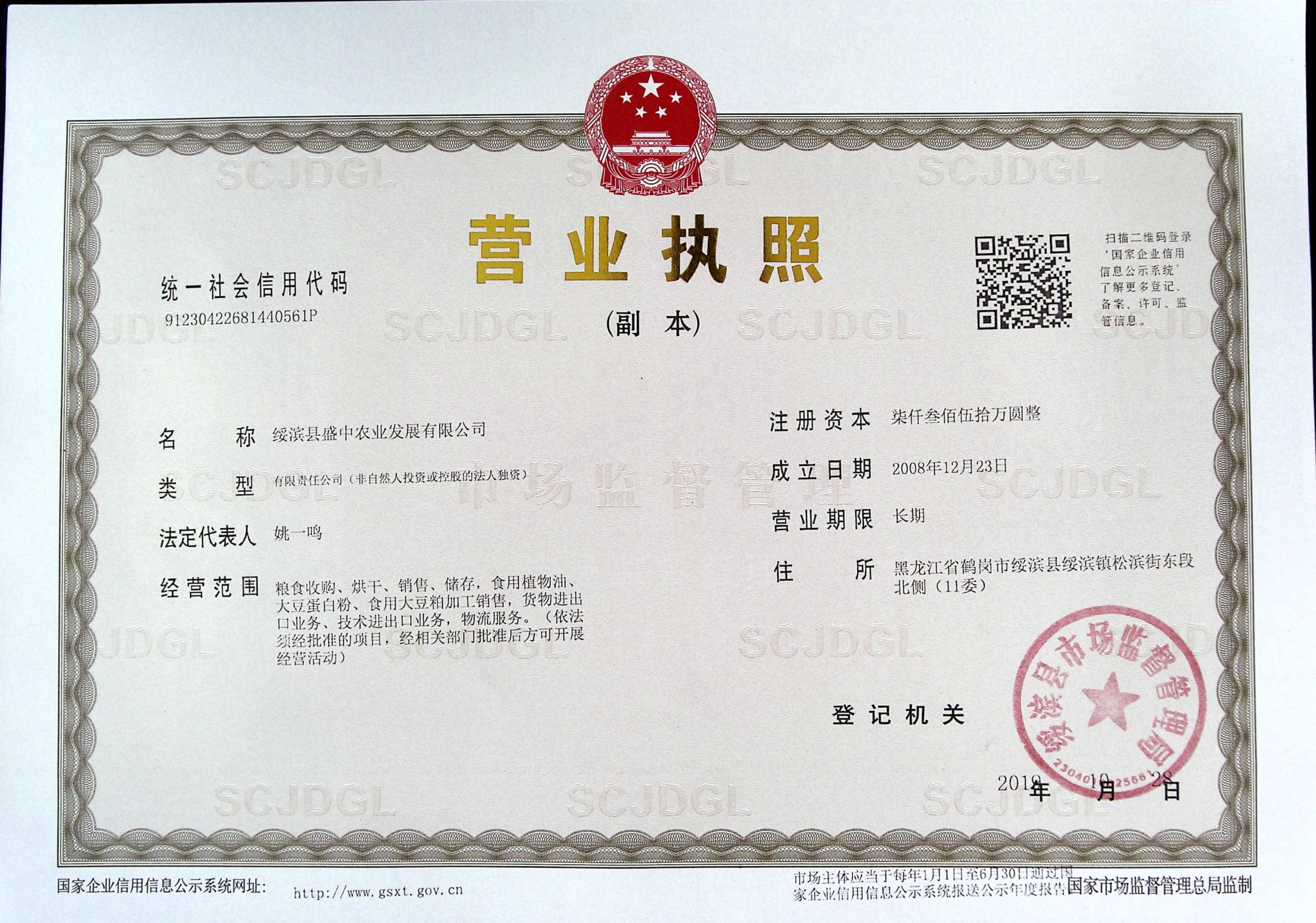 执照
