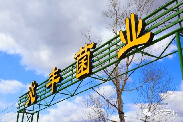 Zhaofeng edible fungus planting farmer professional cooperative in Luobei County