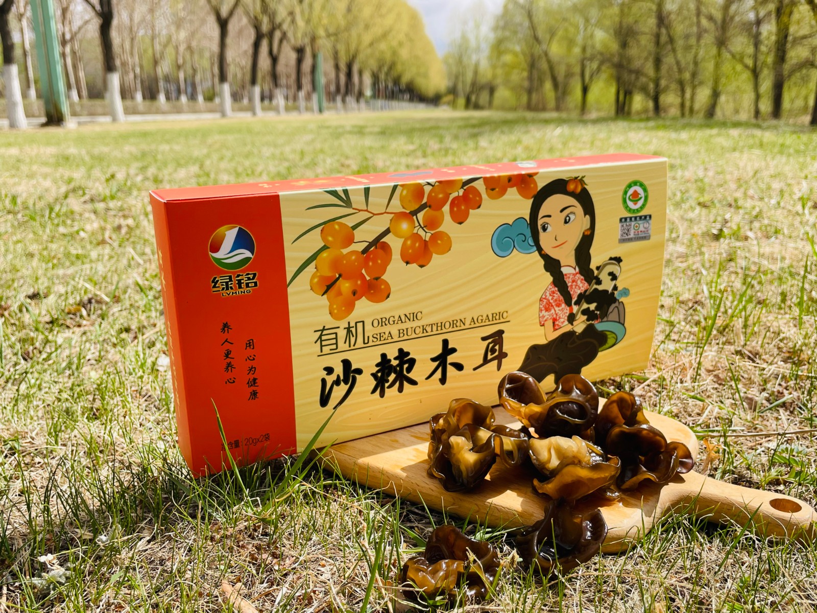 有机沙棘木耳时尚礼品装20g*2袋