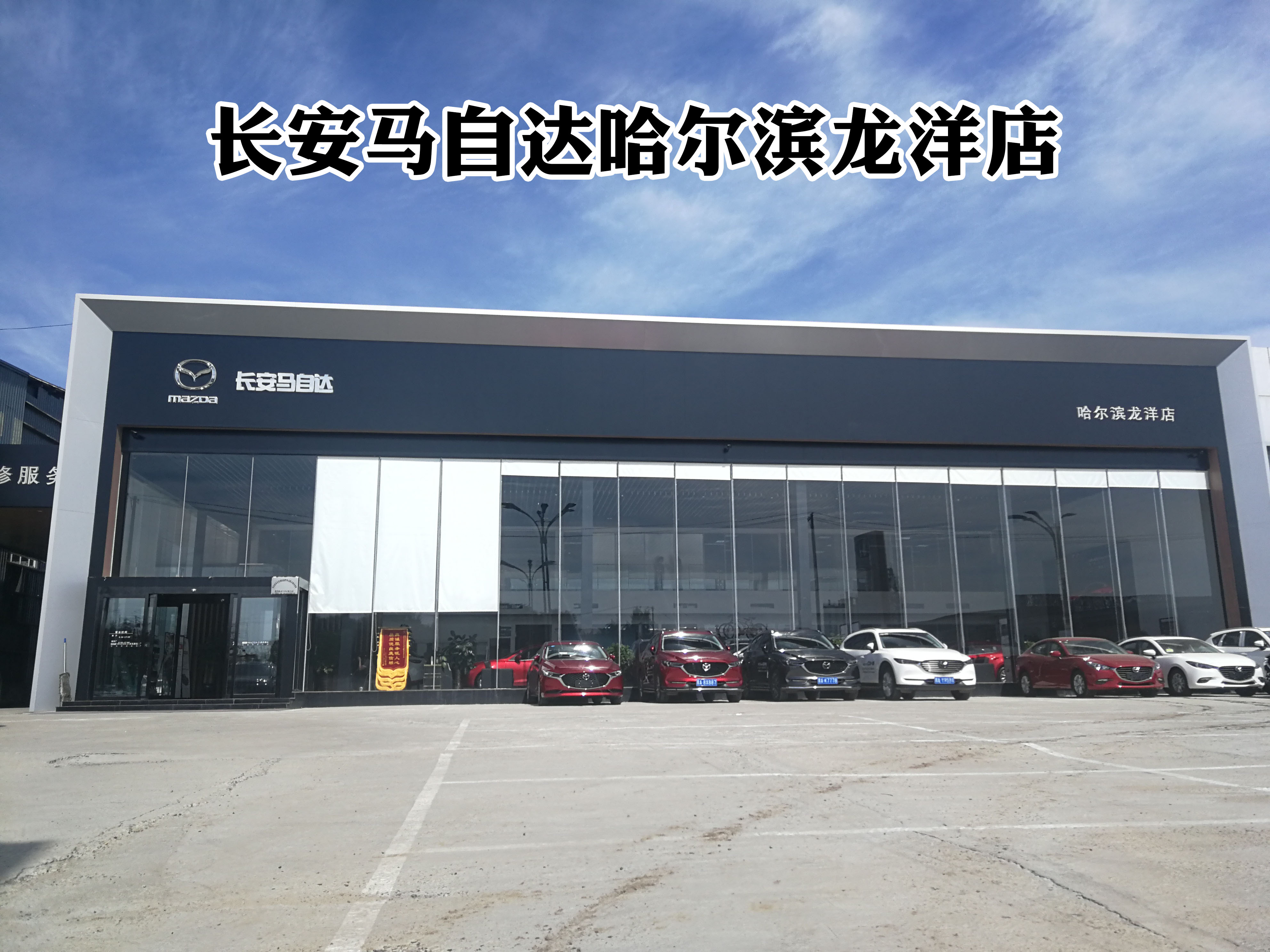 哈尔滨龙洋汽车销售有限公司