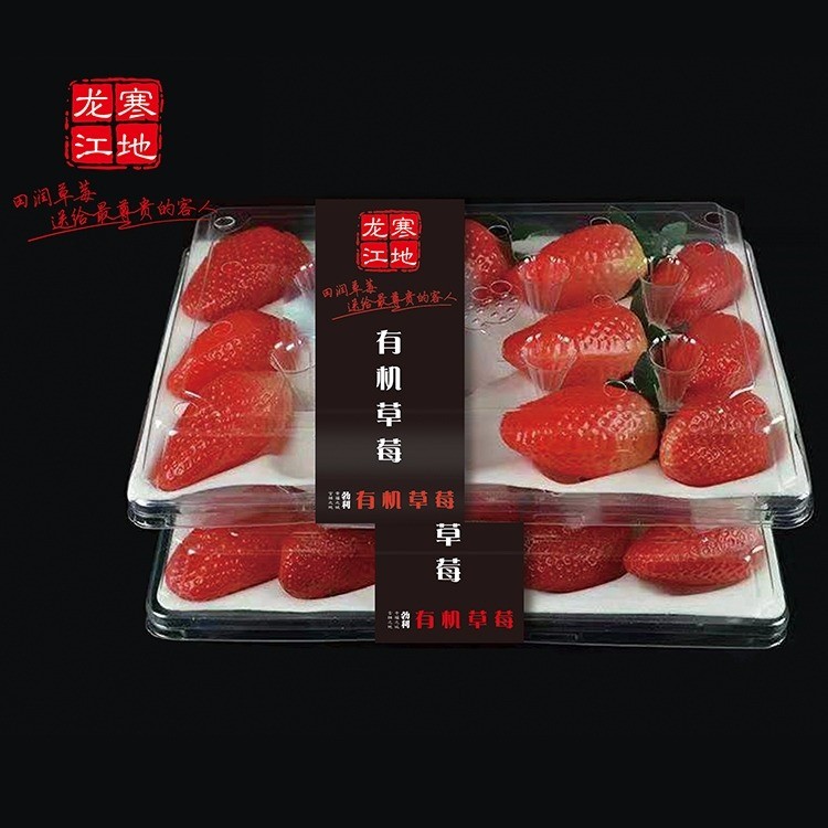 寒地草莓