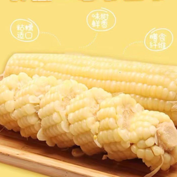 春种一粟玉米