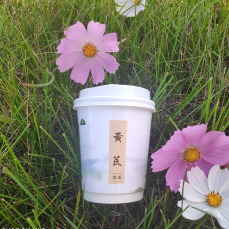 隐茶杯--黄芪