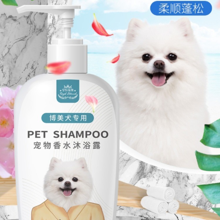 宠物玩具