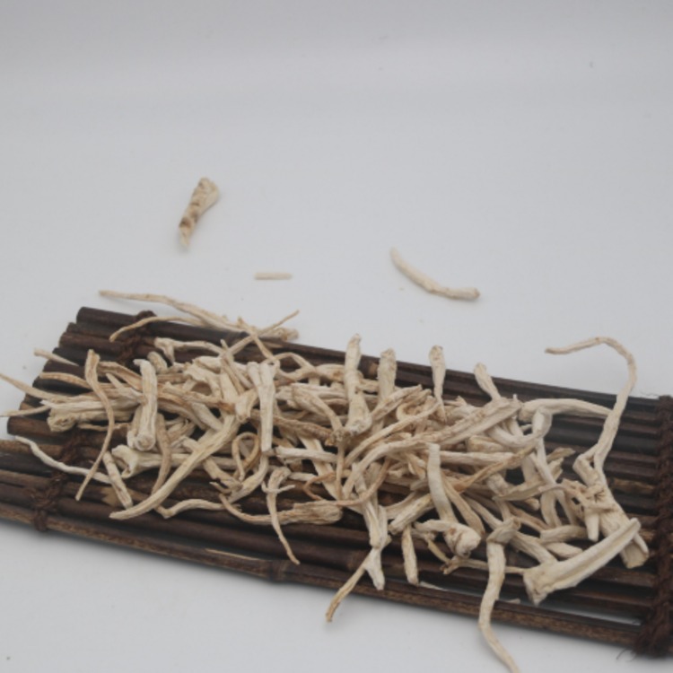桔梗（森林蔬菜）