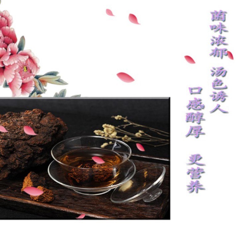 桦树茸