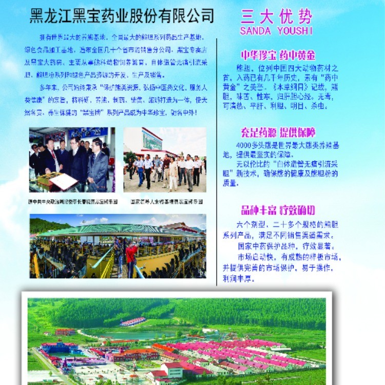 熊胆胶囊