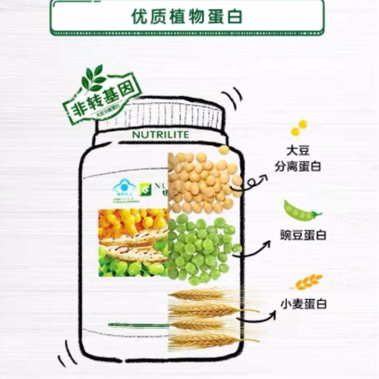 纽崔莱多种植物蛋白粉770克