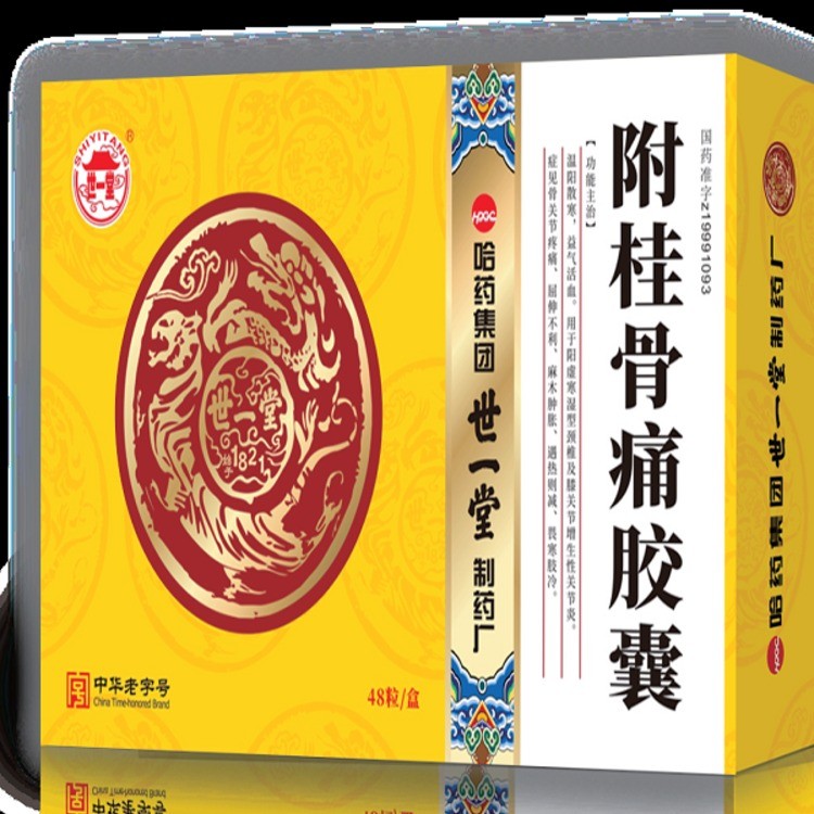 附桂骨痛胶囊