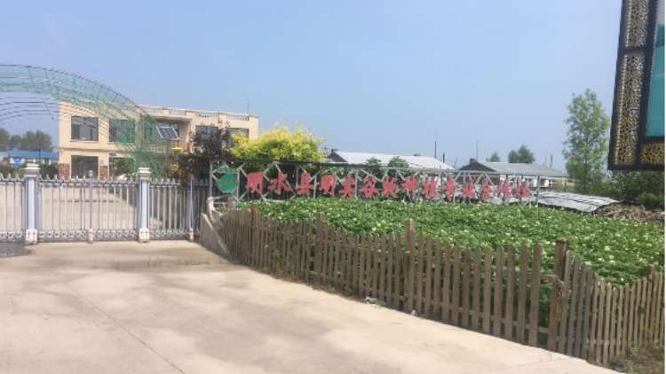 Mingshui County Mingshi Grain Planting Professional Cooperative