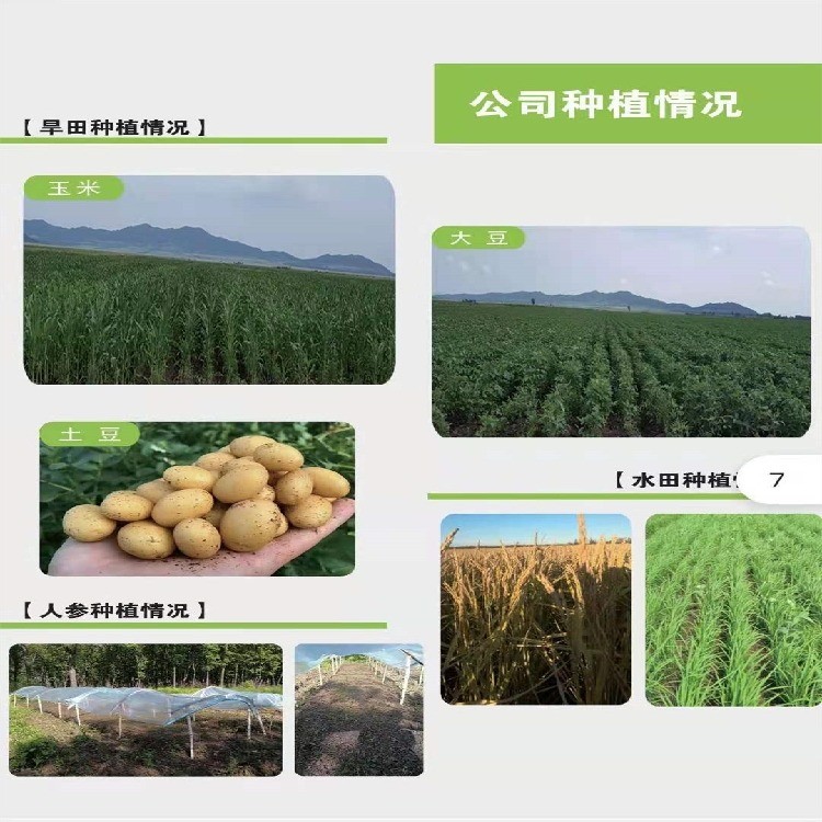 非转基因大豆