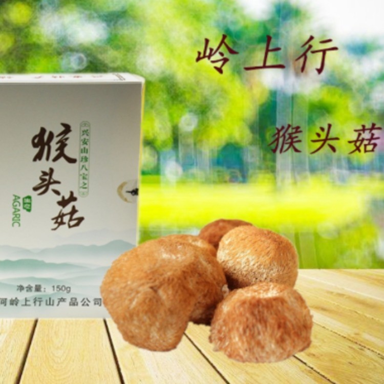 猴头菇