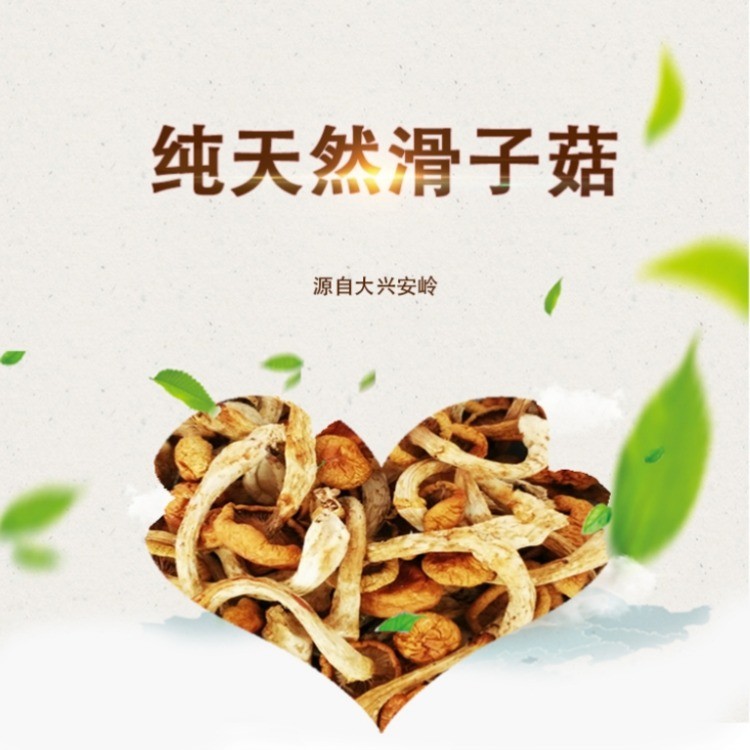 滑子菇